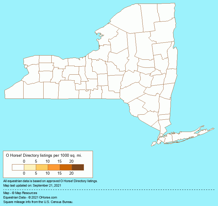 New York Morgan Organizations Population Map - O Horse!