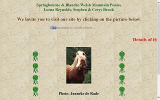 Springbourne & Blanche Welsh Mountain Ponies