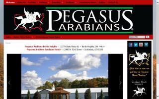 Pegasus Equestrian Center