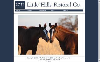 Little Hills Pastoral Co