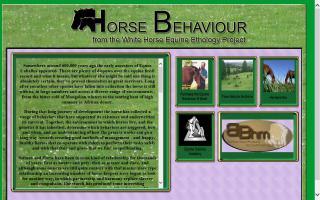 Horse Behavior and Psychology, from White Horse Farm Equine Ethology Project