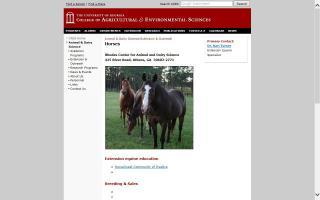 University of Georgia - Equine Program