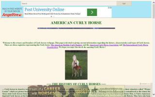 American Curly Horse