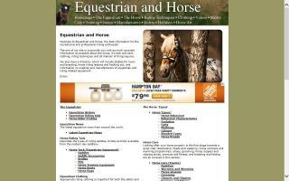 Equestrian And Horse