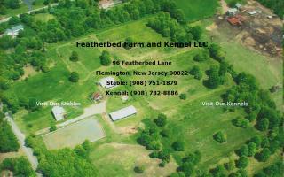 Featherbed Farm and Kennel LLC