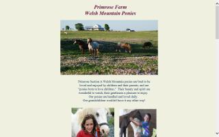 Primrose Farm Welsh Mountain Ponies