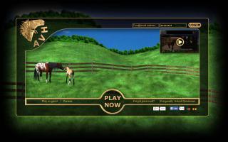 A Virtual Horse