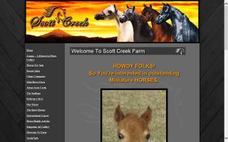 Scott Creek Miniature Horse Farm