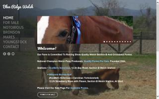 Blue Ridge Welsh Pony Farm