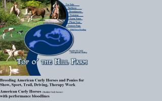 Top O' The Hill Farm / Dream On Curls Riding Center, LLC