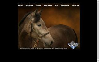 Blue Mounds Equine Center