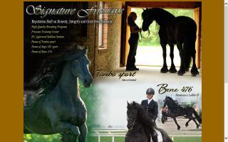 Signature Friesians and Gypsy Horses Worldwide