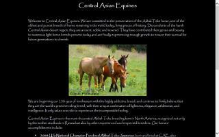 Central Asian Equines