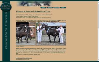 Friesians at Kenetta's