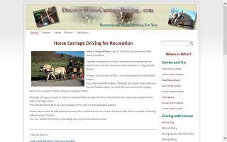 Discover Horse Carriage Driving