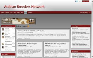 Arabian Breeders Network