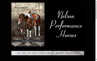 Nelson Performance Horses