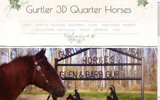 Gurtler 3D Quarter Horses