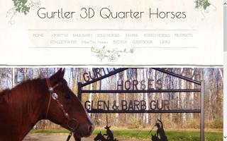 Gurtler 3D Quarter Horses