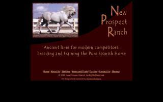 New Prospect Ranch