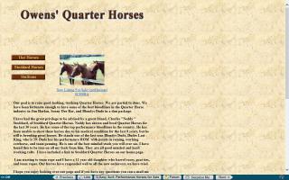 Owens' Quarter Horses