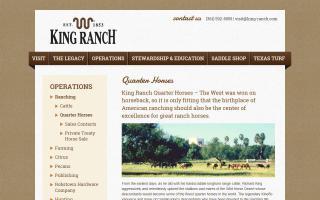 King Ranch Quarter Horses