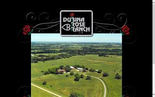 Dubina Rose Ranch