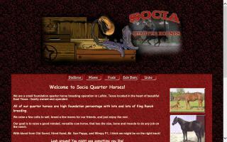 Socia Quarter Horses