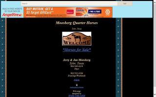 Moosberg Quarter Horses