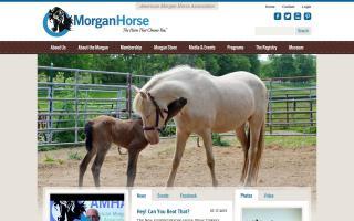American Morgan Horse Association - AMHA