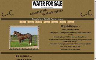 Chamberlain Quarter Horses