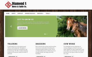 Diamond S Horse and Cattle Co.