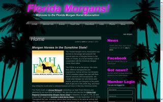 Florida Morgan Horse Association - FMHA