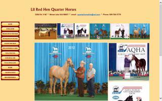 Lil Red Hen Quarter Horses