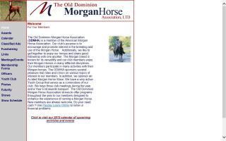 Old Dominion Morgan Horse Association