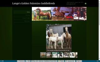 Lange's Golden Saddlebreds
