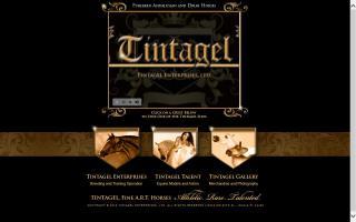 Tintagel Enterprises