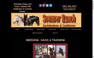 Sommer Ranch Andalusians