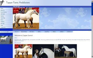 Tupper Farms Andalusians