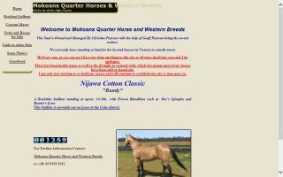 Mokoans Quarter Horses & Western Breeds