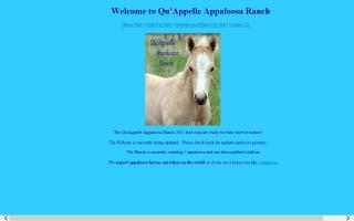 Qu'Appelle Appaloosa Ranch