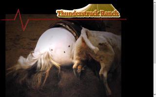 Thunderstruck Ranch