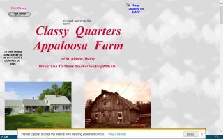 Classy Quarters Appaloosa Farm