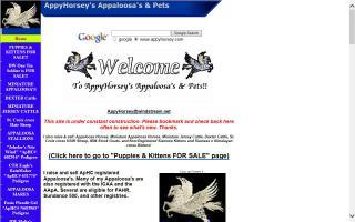 AppyHorsey's Appaloosas & Pets