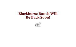 Black Horse Ranch - BHR