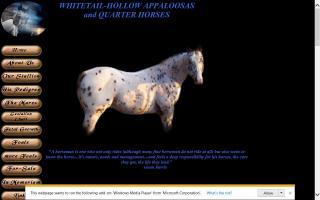 Whitetail-Hollow Appaloosas and Quarter Horses