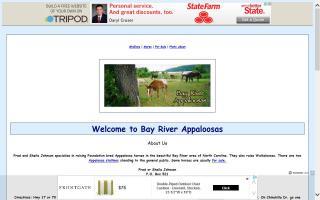 Bay River Appaloosas