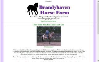 Brandyhaven Horse Farm