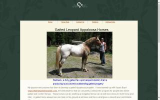 Palmer's Appaloosas / Spotted Swan Ranch