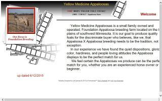 Yellow Medicine Appaloosas
